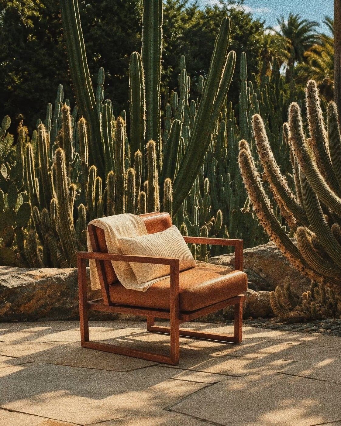 Sillón de piel entre cactus